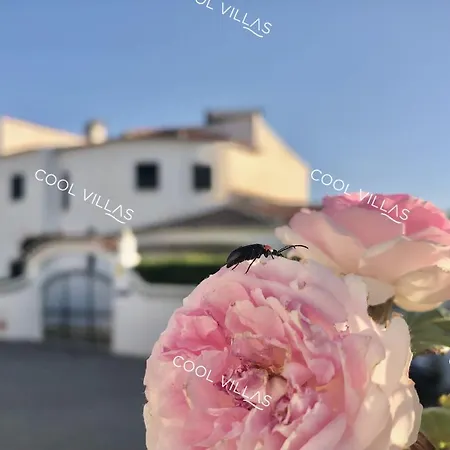 Vila Lilac - Walking Distance To Albufeira